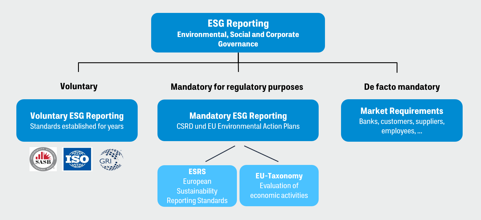ESG reporting requirements - statutory and voluntary reporting obligations
